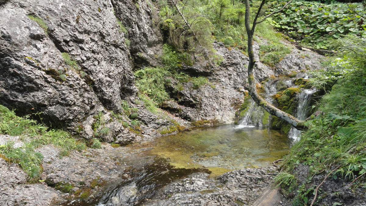 Tatry: śmiertelny wypadek wspinacza w Dolinie za Bramką