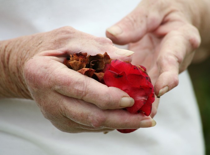 Zalety zielonej herbaty