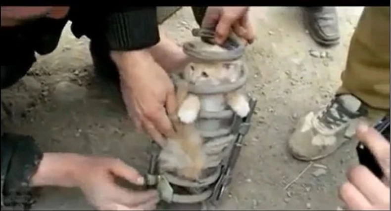 489439_maca-u-amortizeru