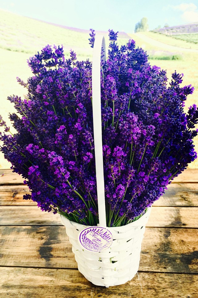 Egy hely, ahova idén MUSZÁJ ellátogatnod