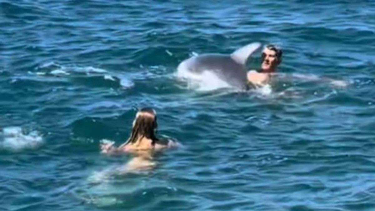 Delfin Oliver