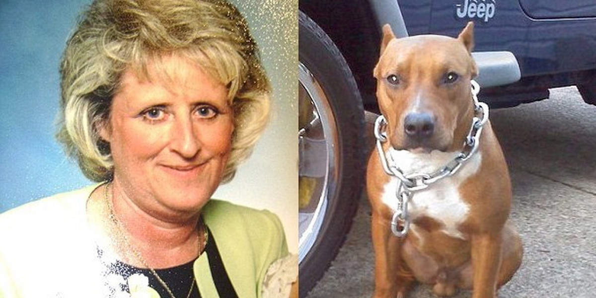Cindy Whisman, Opiekowała się wnuczkiem zagryzł ją pies córki
