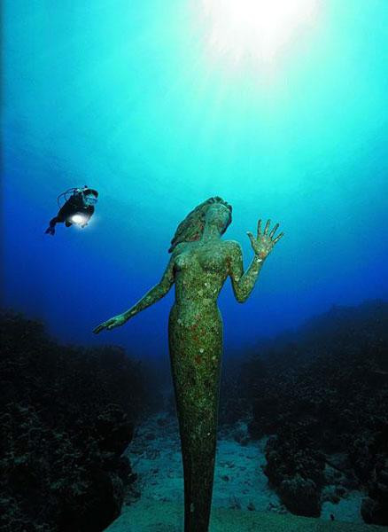 Galeria Kajmany - podwodny świat, obrazek 7