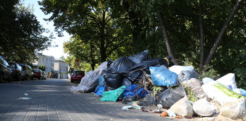 Zamieszanie wokół segregacji odpadów. Koszty mogą znacznie urosnąć