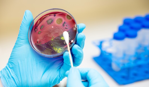 Staphylococcus aureus (MRSA)