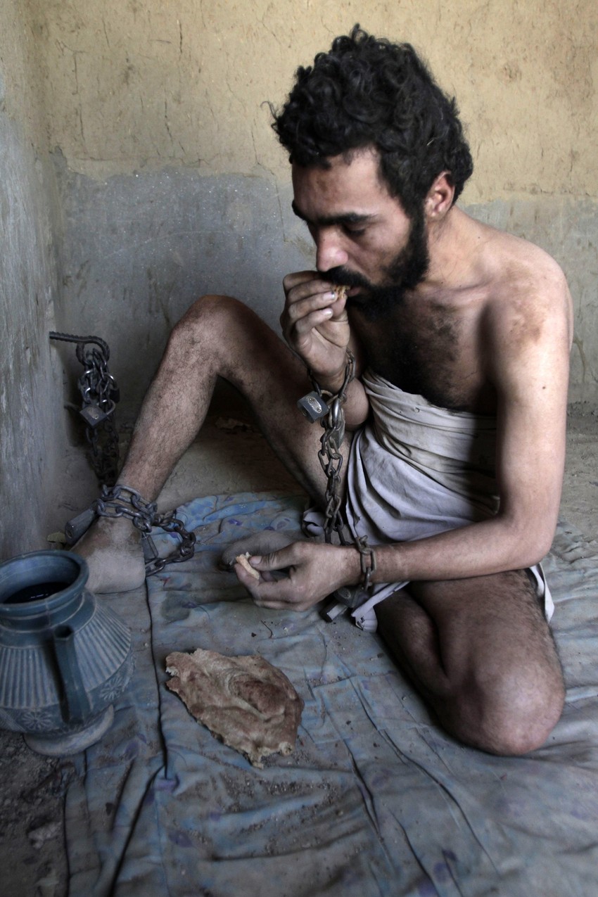 U toku rehabilitacije žive na hlebu, vodi i biberu