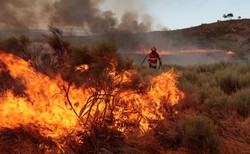 Skandal w Portugalii. Z funduszu rządowego dla ofiar pożarów zginęły pieniądze