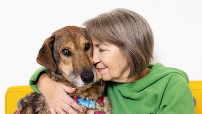 Barbara Zaremba mieszka z trzema psami: oprócz Awy są jeszcze Tunia i Romeo