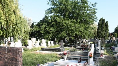 Megszólalt a gödöllői temető gondnoksága a kriptába zuhant asszony tragédiájáról – Ez történt