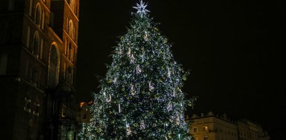 Choinka na Rynku Głównym będzie zużywać mniej prądu niż czajnik! 