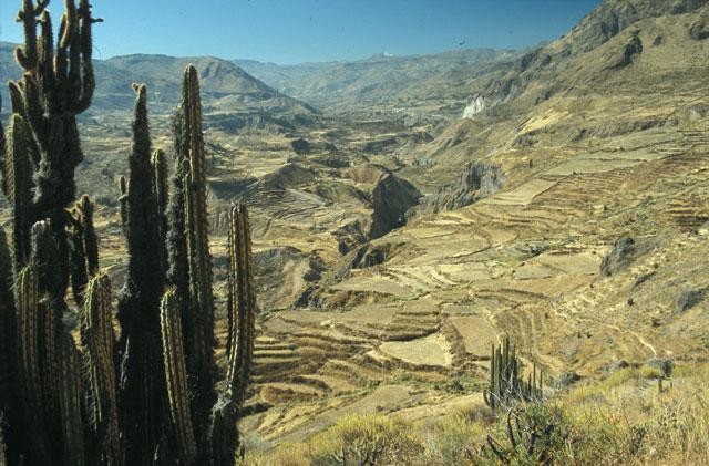 Galeria Peru - polskie ścieżki, obrazek 21