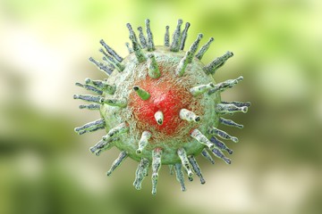 A mononucleosis infectiosa hátterében a herpeszvírusok családjába tartozó Epstein-Barr vírus (EBV) áll az esetek több mint 80 százalékában. 