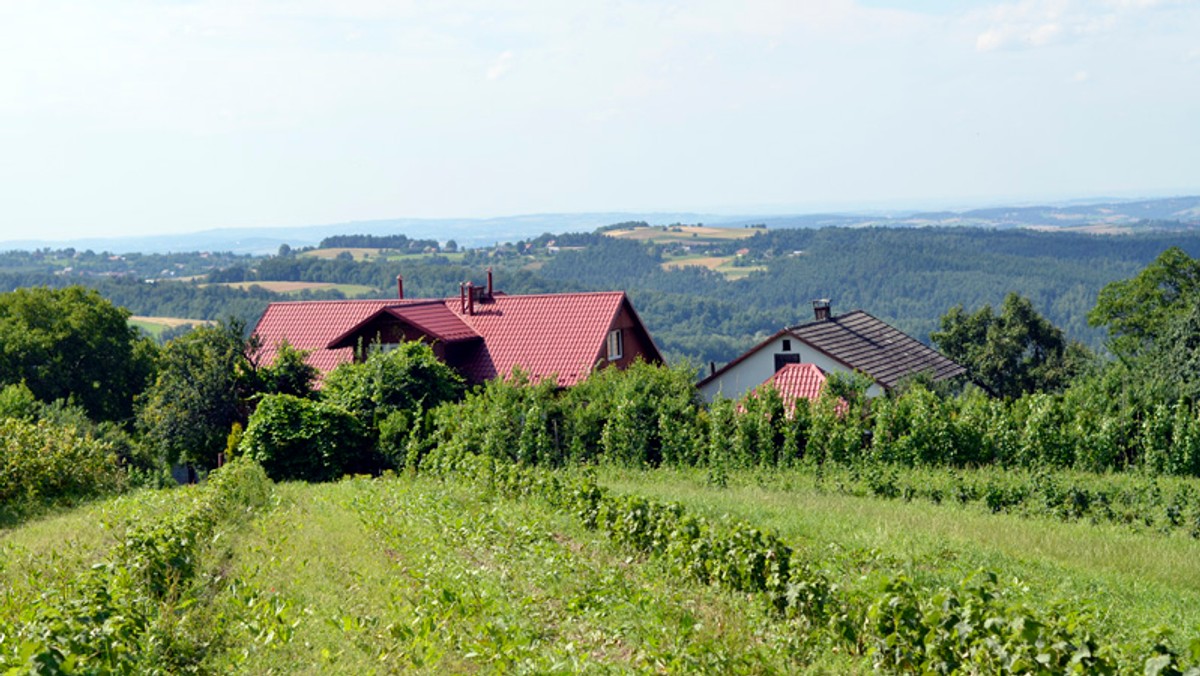 15 gospodarstw agroturystycznych w województwie małopolskim przygotowało specjalną ofertę wypoczynkową dla osób powyżej 60. roku życia. W ramach programu "Małopolska Wieś dla Seniorów" oferują zniżki za pobyt i program dopasowany do potrzeb osób starszych.