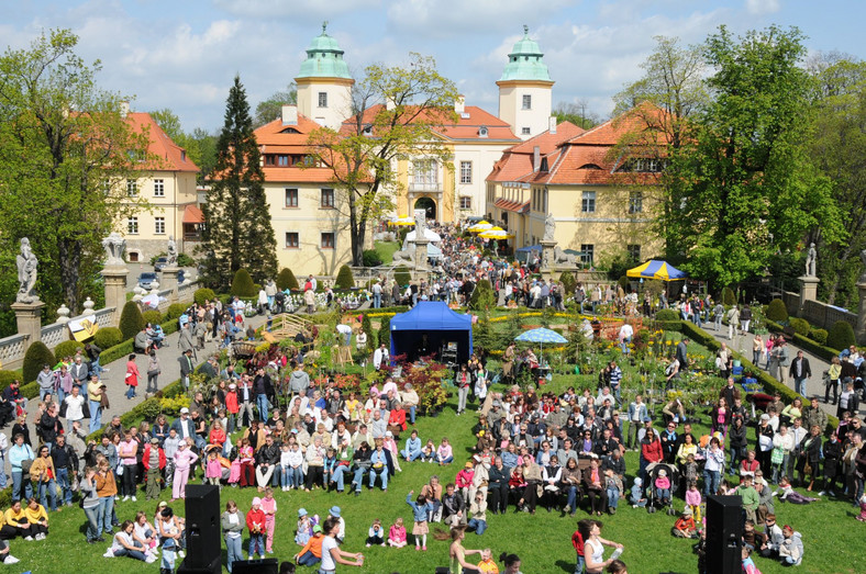 Przedzamcze zamku Książ