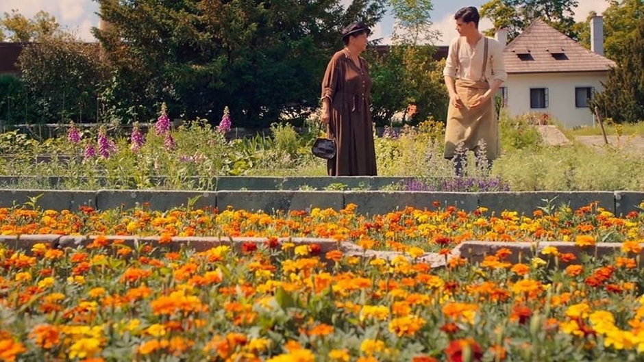 "Szarlatan", kadr z filmu