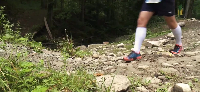 Festiwal Biegowy Sport Onet Wiadomosci Sportowe Wyniki I Relacje Live