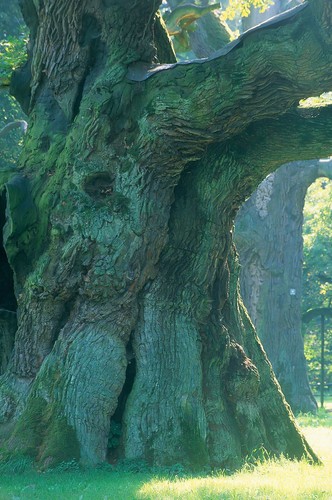 Najpiękniejsze krajobrazy Polski