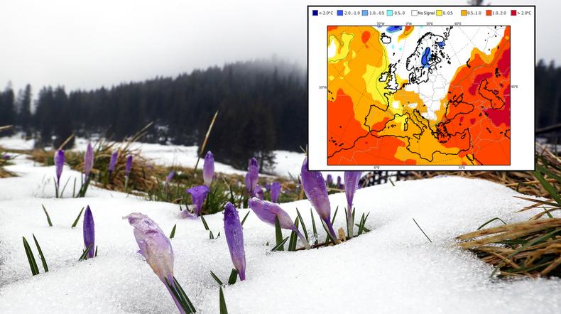 Mamy pogodę na resztę zimy i wiosnę. Kwiecień może miło zaskoczyć (mapa: ECMWF)