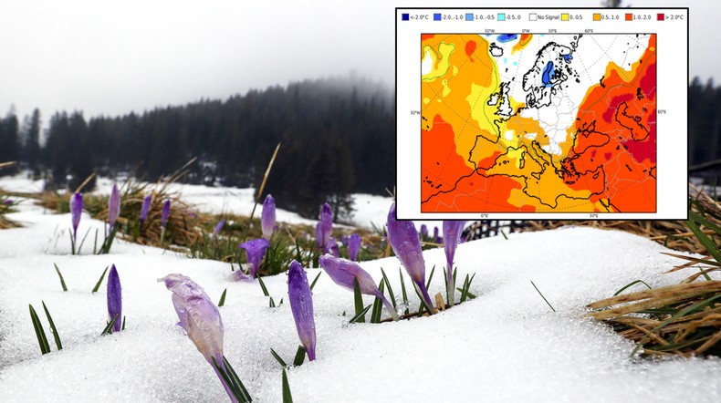 Mamy pogodę na resztę zimy i wiosnę. Kwiecień może miło zaskoczyć (mapa: ECMWF)