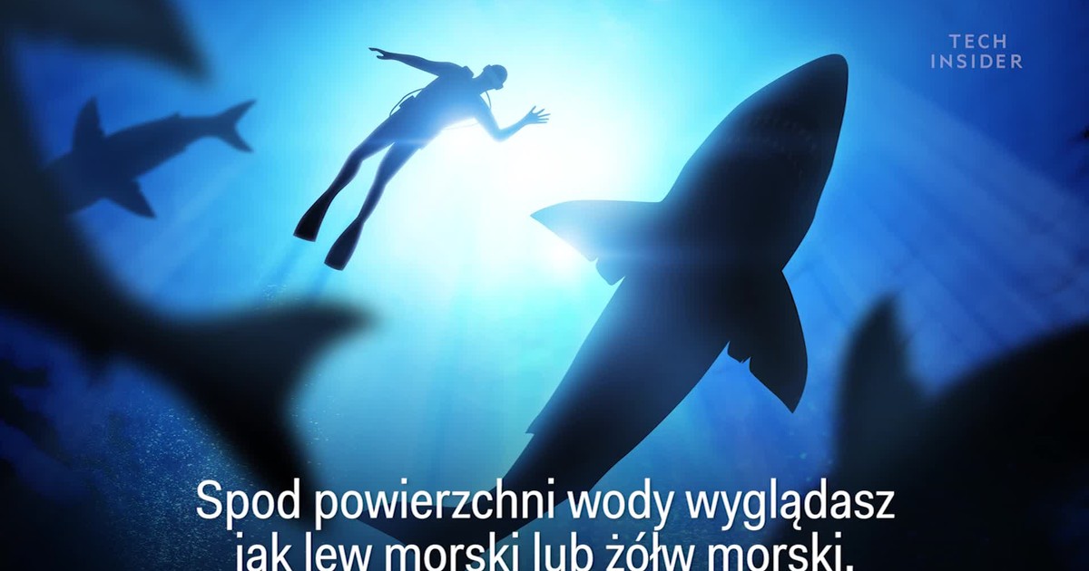 Dlaczego rekiny atakują ludzi? Wyjaśnia YouTube Coyote Peterson