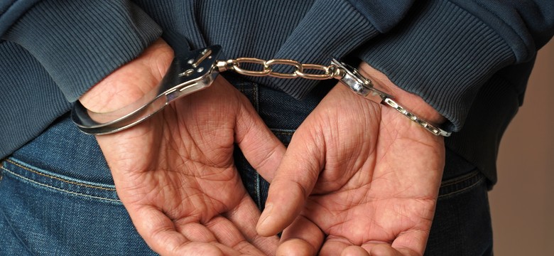 Rosyjski archeolog zatrzymany w Polsce. Jest wniosek o ekstradycję