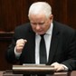 Prezes Jarosław Kaczyński