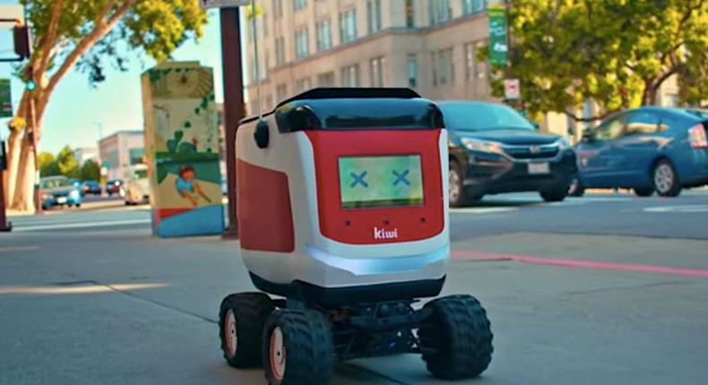 kiwibot