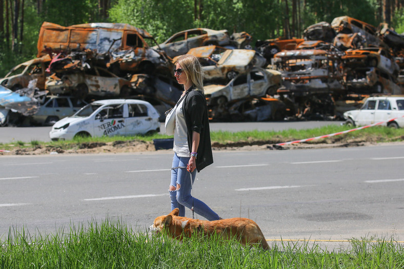 Kobieta spaceruje z psem w pobliżu zniszczonych pojazdów na wysypisku śmieci w Buczy 10 maja 2022 r.