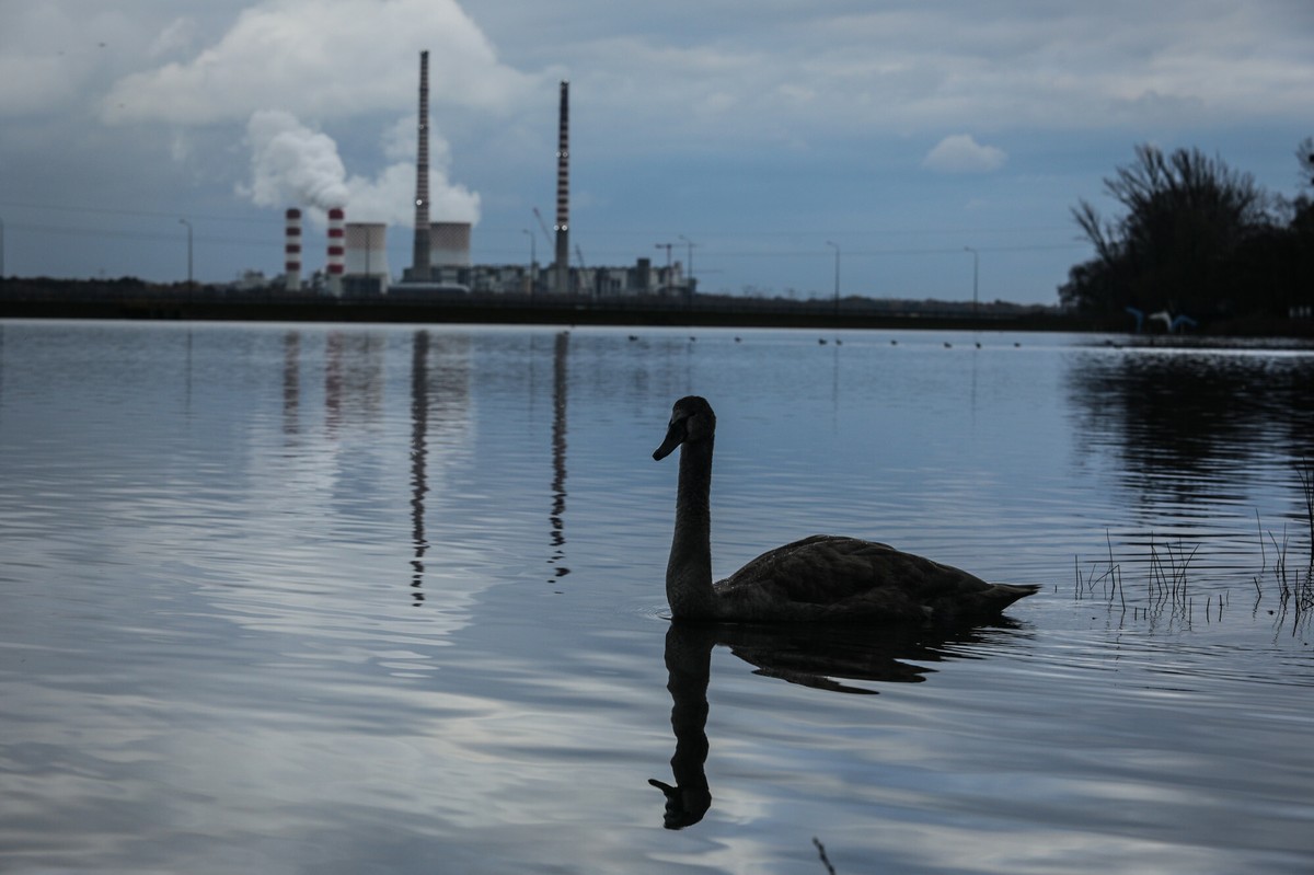 "Dalsze opóźnienia mogą spowolnić inwestycje". Apel w sprawie planu dla transformacji energetycznej