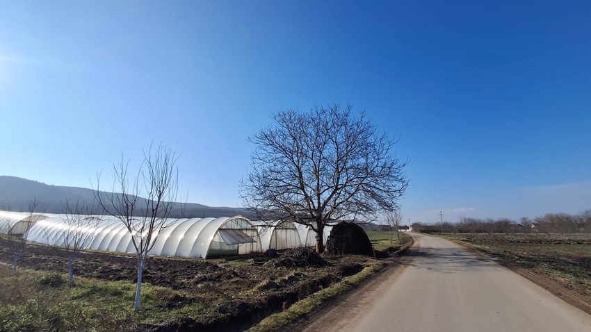 Mesto gde je Milica poslednji put viđena