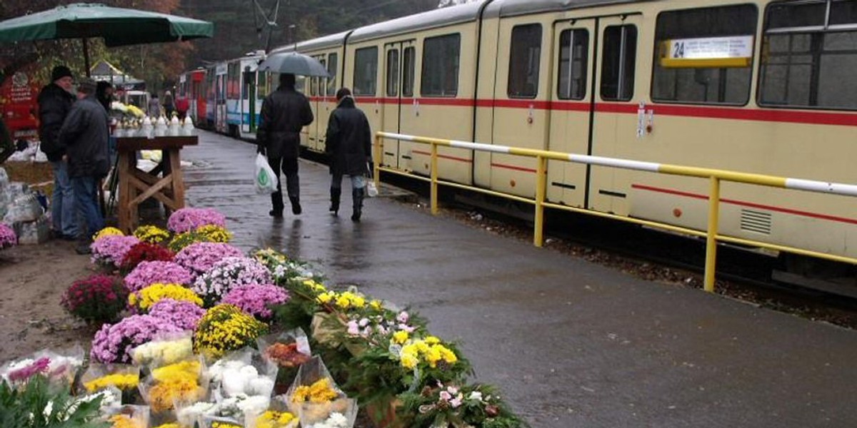 Poznań: jak dojechać na cmentarze we Wszystkich Świętych ...