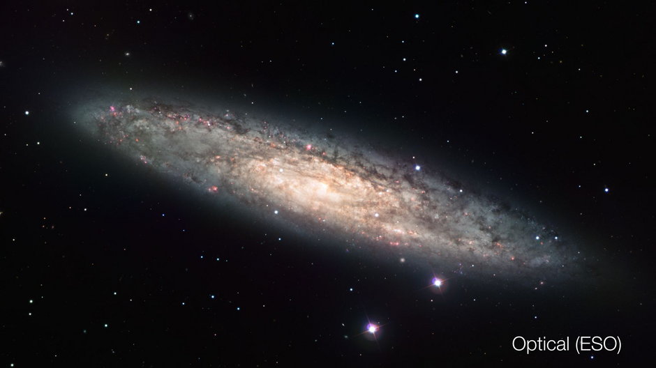 Galaktyka NGC 253