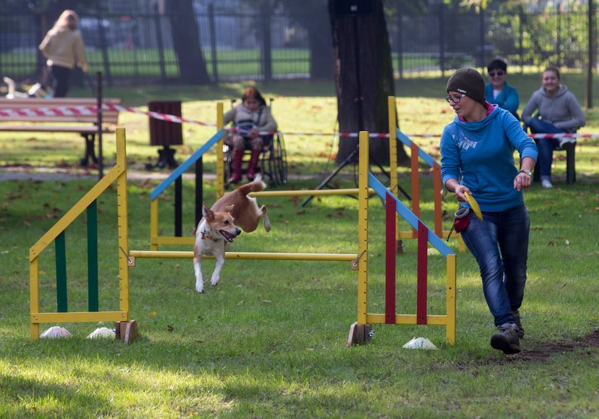 Gliwice. Piknik „Psistanek” w Parku Chopina 