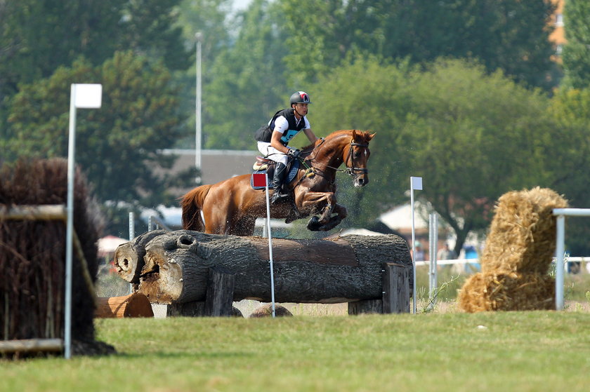 Koń Banderas leci na igrzyska w Rio