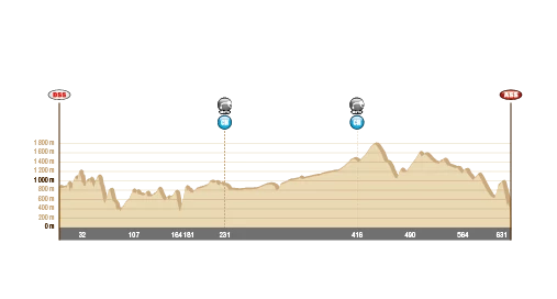 Dakar 2014: atak Mini, Przygoński walczy (9. etap, wyniki) 