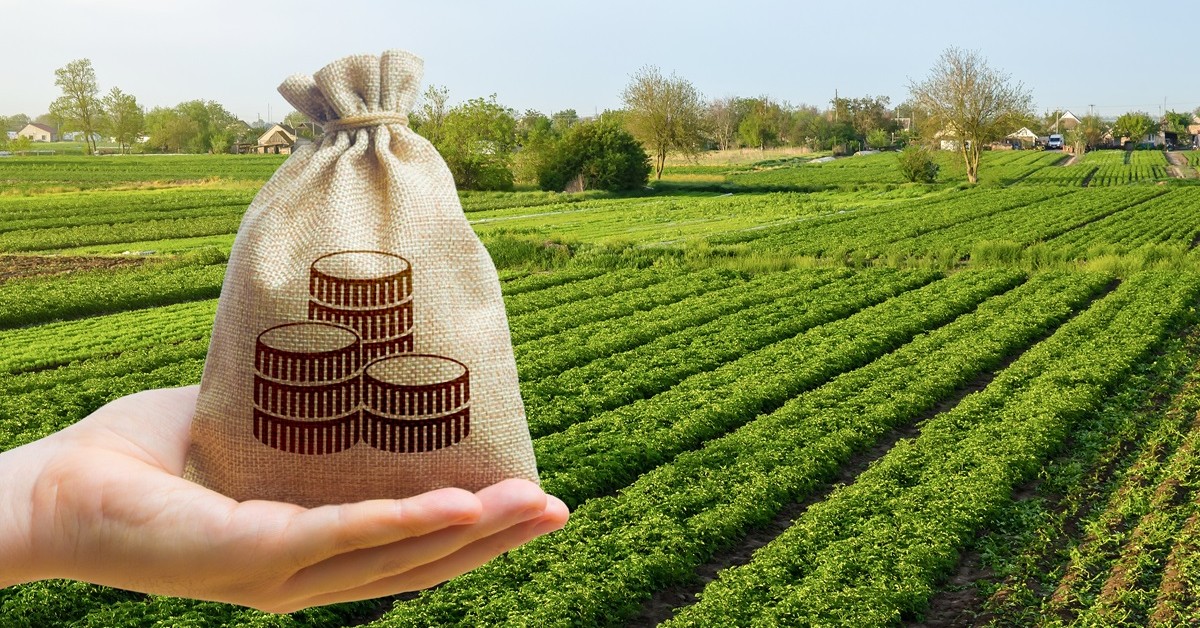 Rolnicy mogą dostać choćby 3000 zł za hektar. Minister Rolnictwa zdradza szczegóły