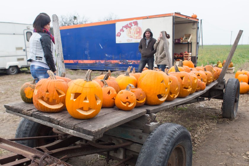 Zbliża się Hallowen! Jak go spędzić w Poznaniu?