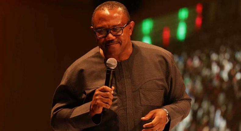 Vice-Presidential candidate of the Peoples Democratic Party (PDP), Peter Obi (Punch)