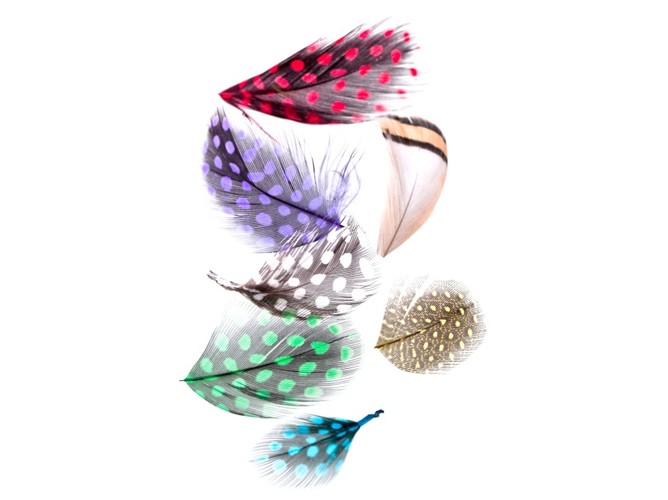 Wyrazisty makijaż na Andrzejki 2011 i nie tylko - propzycje z jesiennej kolekcji Lash Book Nouveau Lashes.