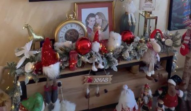 Dragica Zlatić, kuća