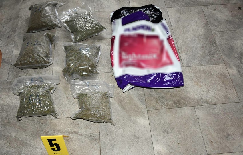 Laboratorija marihuane