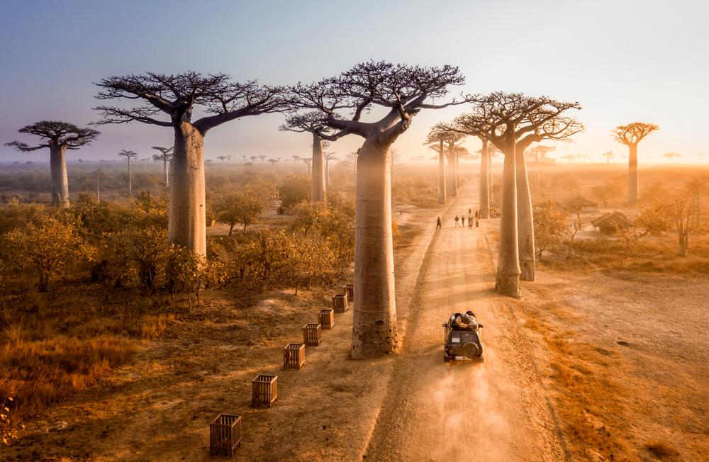 Ikonické Alleé des Baobabs, ktoré sú symbolom krajiny.