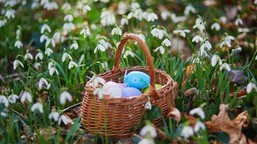 już jest prognoza pogody na wielkanoc 2026. miejscami nawet 20 stopni, mozliwy deszcz