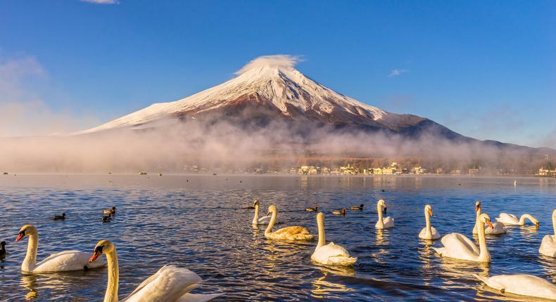 Mount Fuji is the tallest peak in Japan, and tourists have been causing disruptions in a specific photo-op spot.Shutterstock/Luciano Mortula
