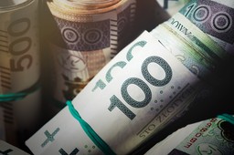 o ile spadły raty kredytów dzięki niskiemu wibor? łączne oszczędności