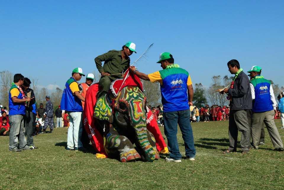 NEPAL ELEPHANT FOOTBAL