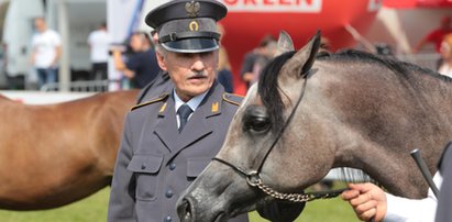 Wyrzucili prezesa stadniny w Janowie, bo "przeciwstawił" się władzy