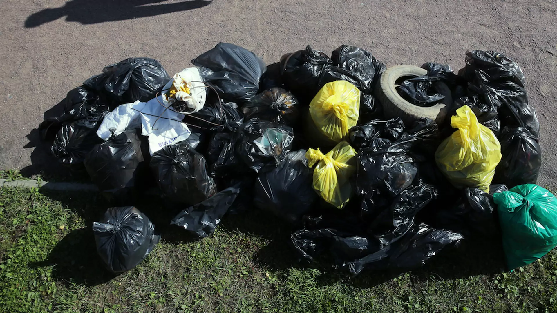 Polscy urzędnicy nie chcieli odebrać śmieci sprzątniętych przez ochotników