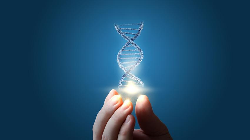 DNS, processzor, tudomány, kutatás