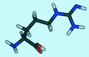 arginin-alzheimer-d00001FCD5f50e6b3fc47
